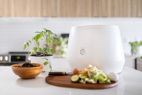 an electric composter on a counter with food scraps in front of it