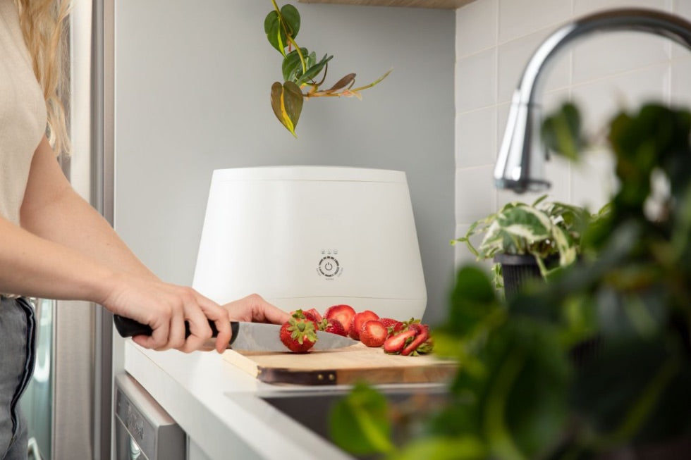 Our 15 Favorite Kitchen Countertop Appliances Of 2022 – Lomi