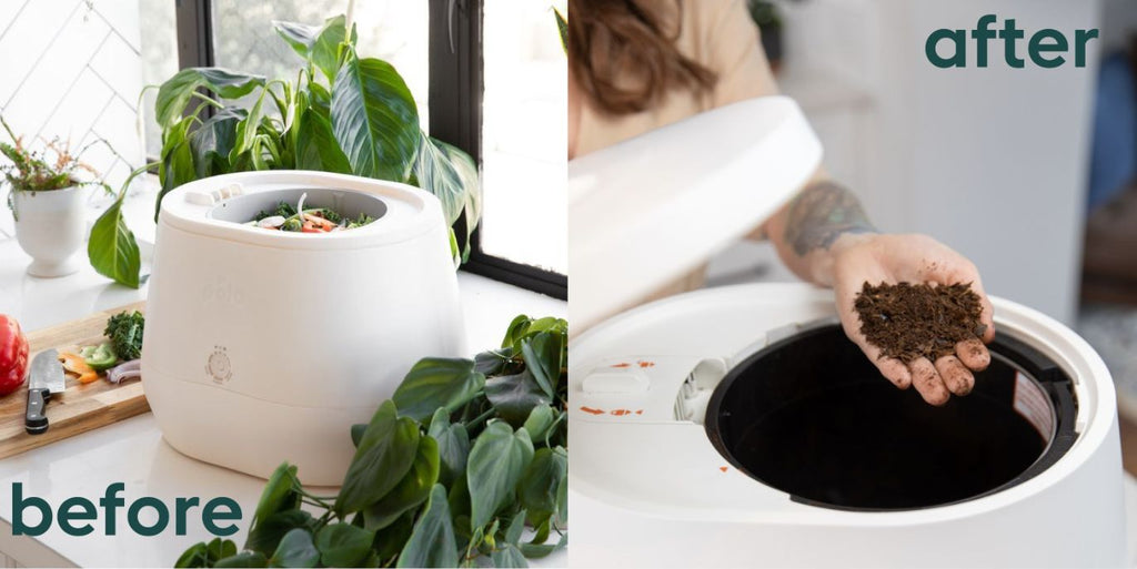 Lomi electric kitchen composter next to plants