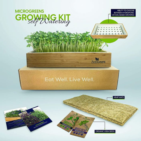 microgreen hydroponic system