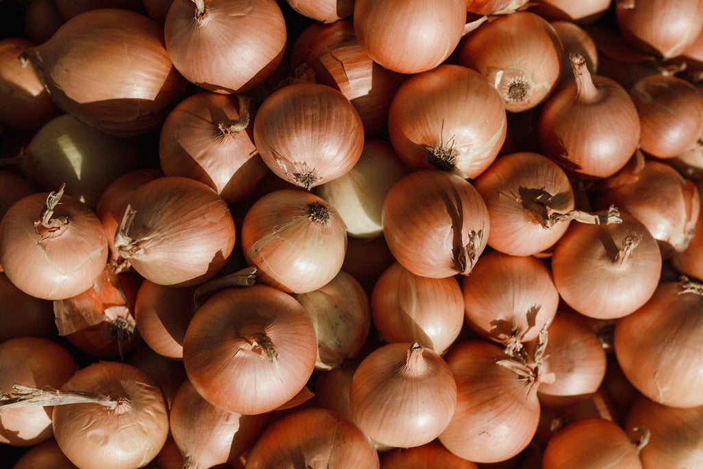 Red onion bulbs