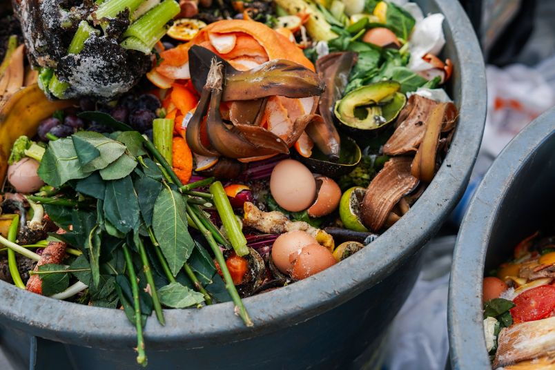 A bin filled with a variety of organic waste