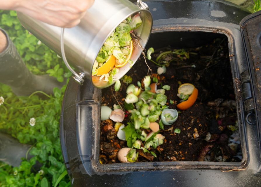 How To Start Composting At Home, A Guide For Beginners