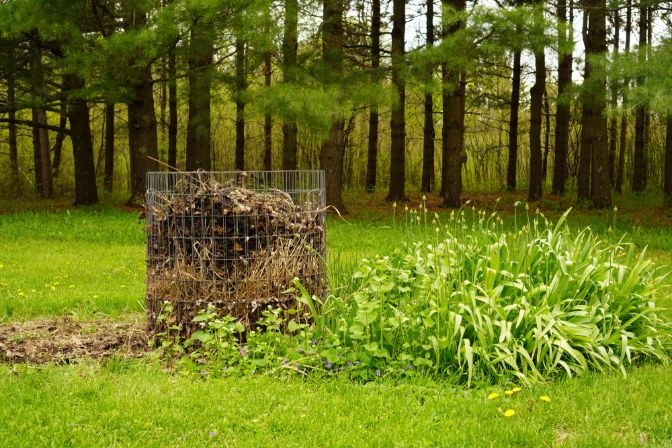 Circular wire mesh compost bin in the forest