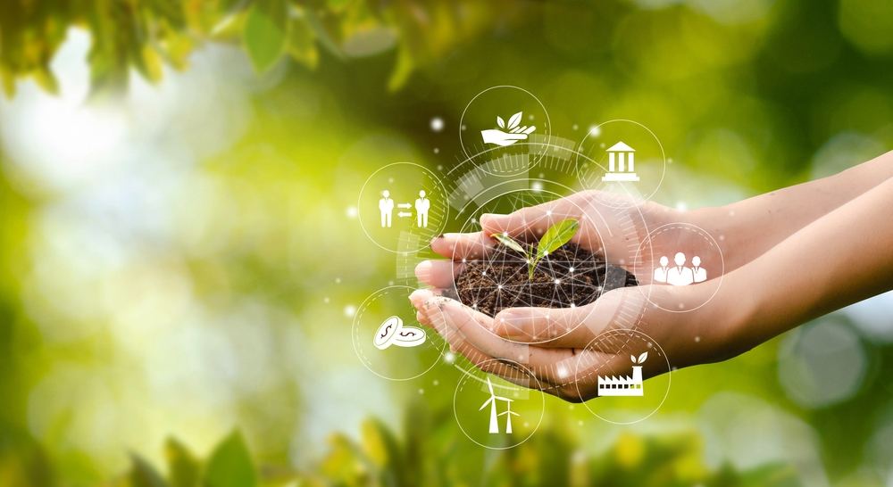 25 Eco-Friendly Companies To Watch in 2022 – Lomi