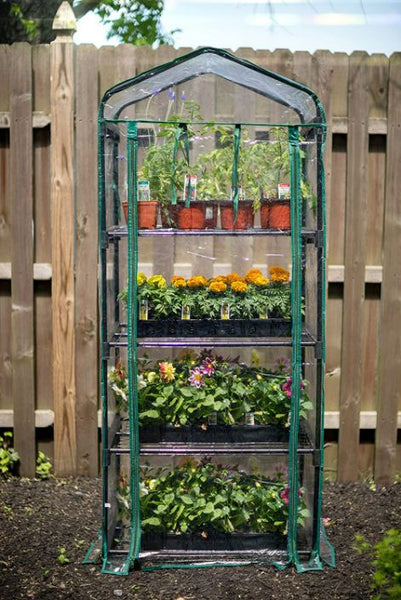 plastic-paneled four-shelf greenhouse