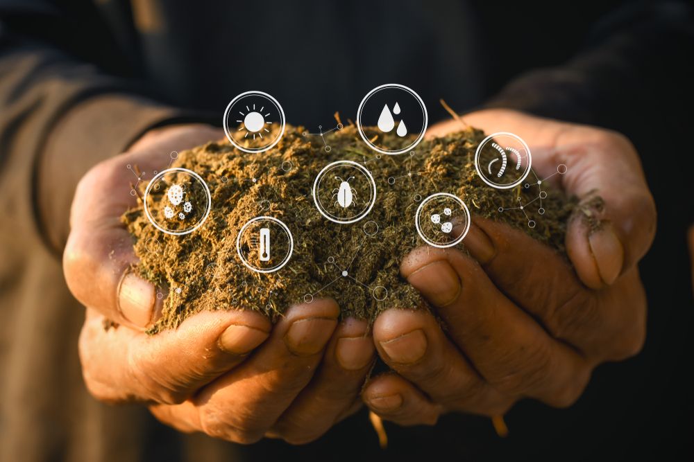 Two hands holding fertilized soil