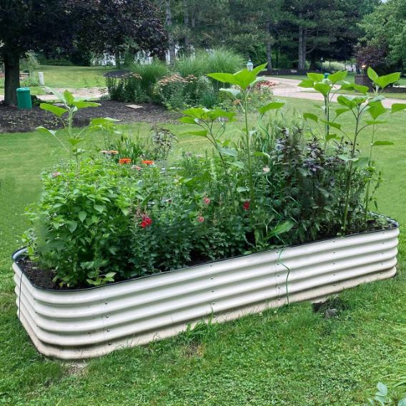 A metal raised garden bed in a backyard and filled with plants