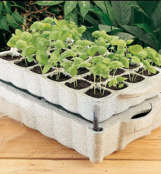 Off-white seed starter set filled with soil and seedlings