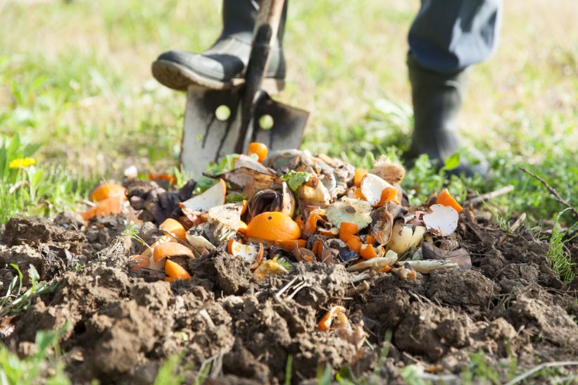 6 compost bins to help you reduce food waste