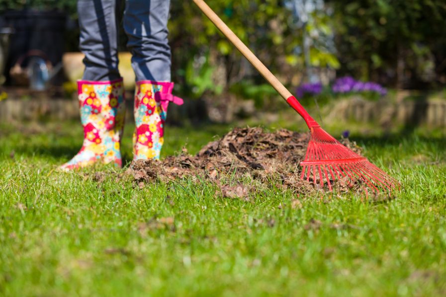 A woman raking leaves