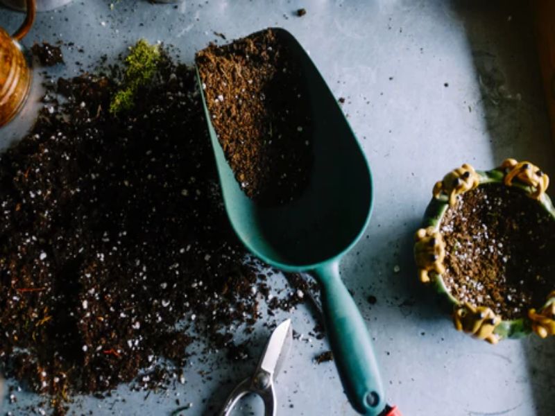 soil and garden shovel on the table