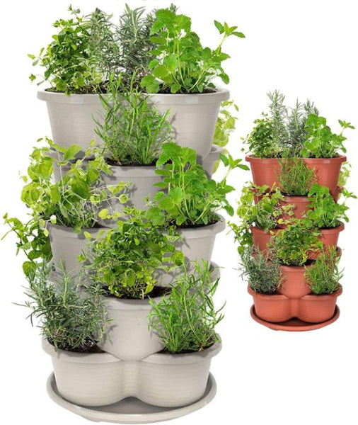 vertical arrangement of potted plants