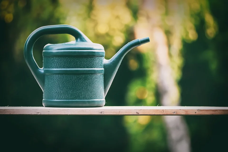 Watering can placed on top of a lumber
