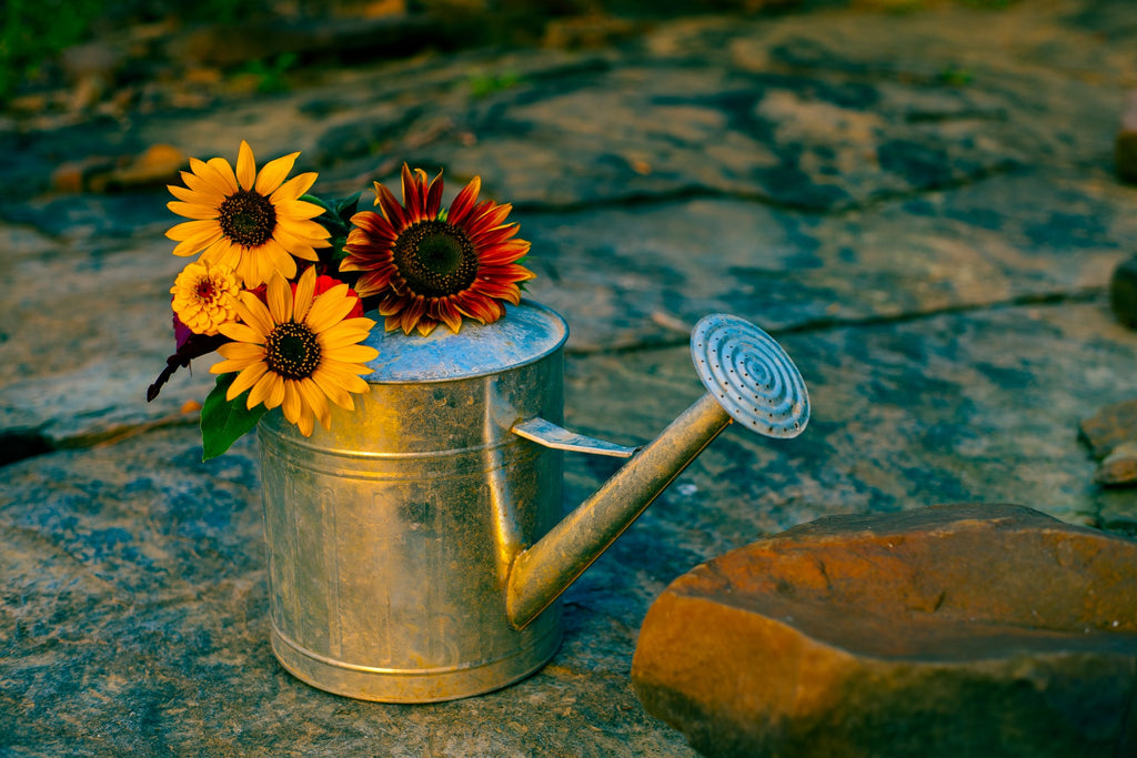 Watering can with sunflowers on top of it