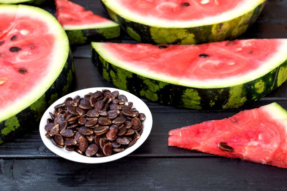 A bowl of watermelon seeds surrounded by slices of watermelon