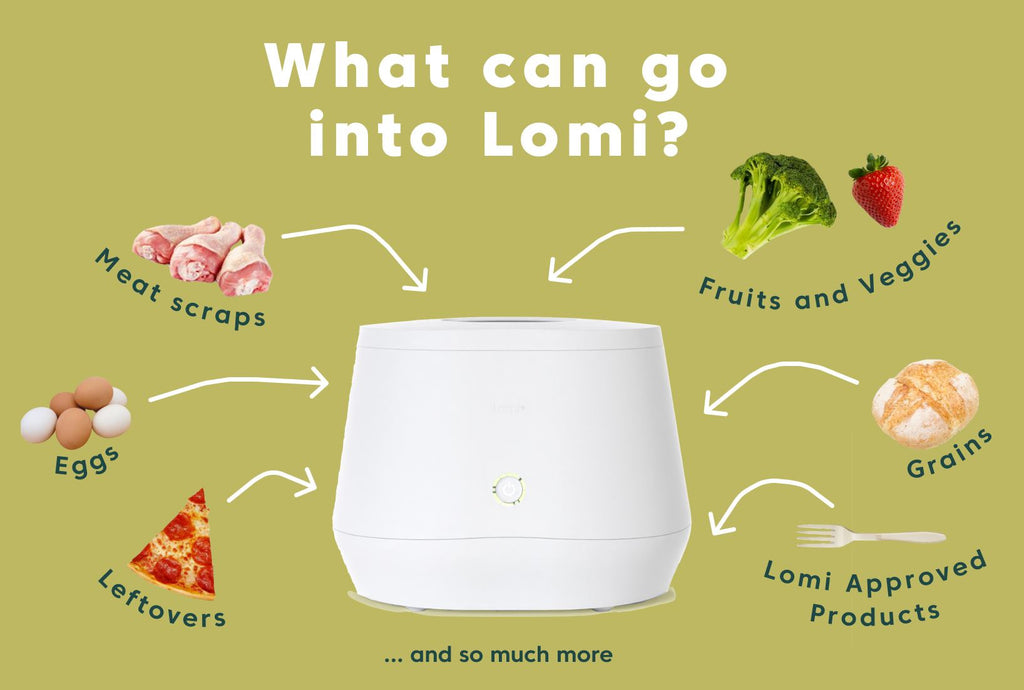 A depiction of what can go into Lomi