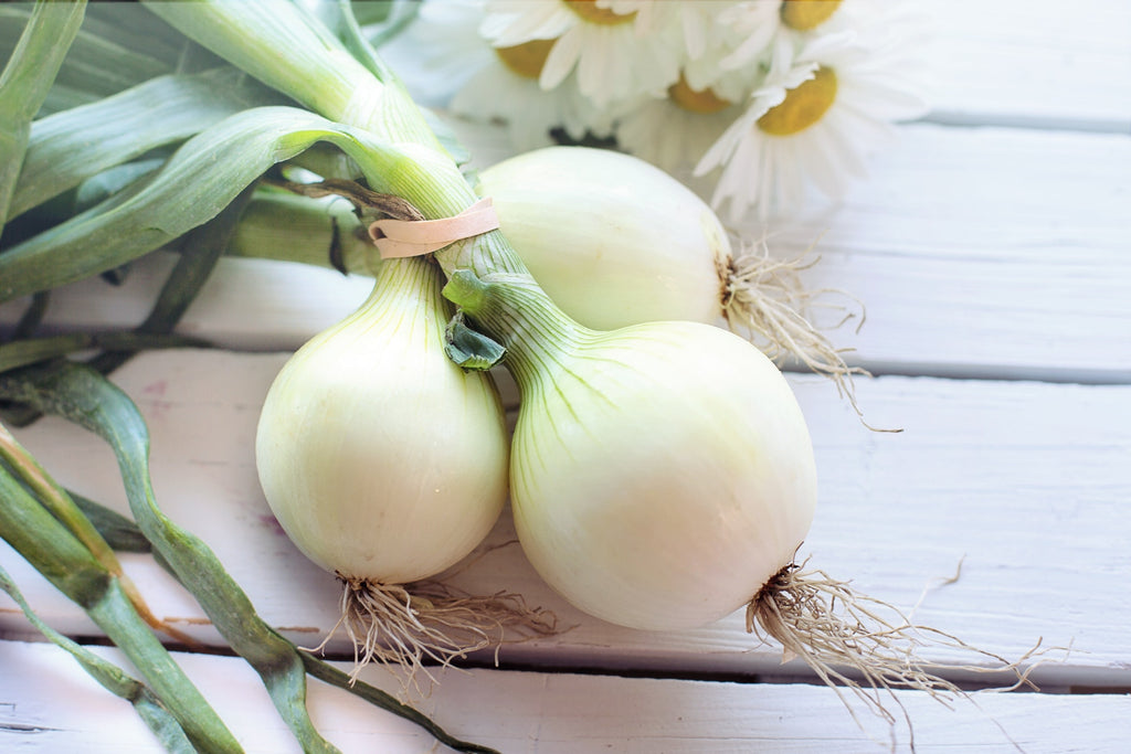 Three white onions on a wooden table