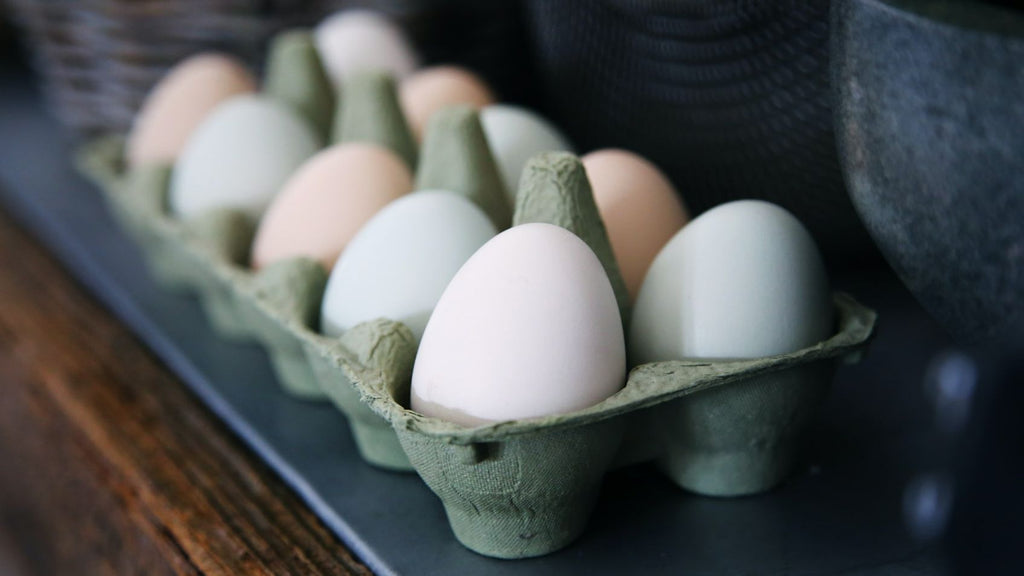 Are Egg Cartons Recyclable?