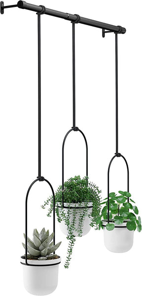 Hanging planter for window