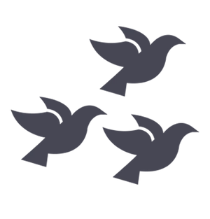 Express Delivery via FedEx - KudikisShop