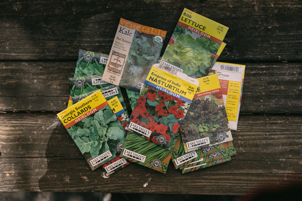 Packets of seeds from the Plant Seads install with Harlem Grown in New York City