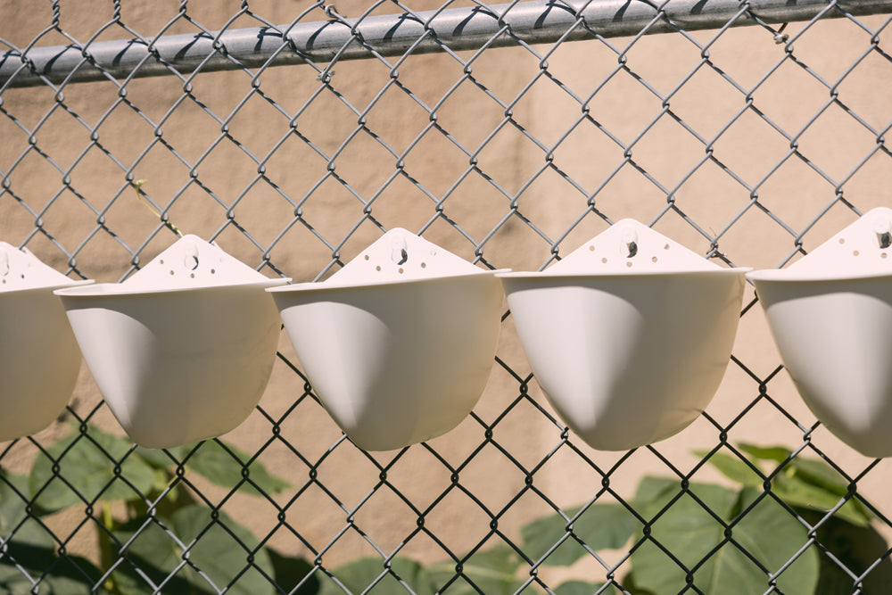 A row of white Sead Pod planters on a chain link fence 