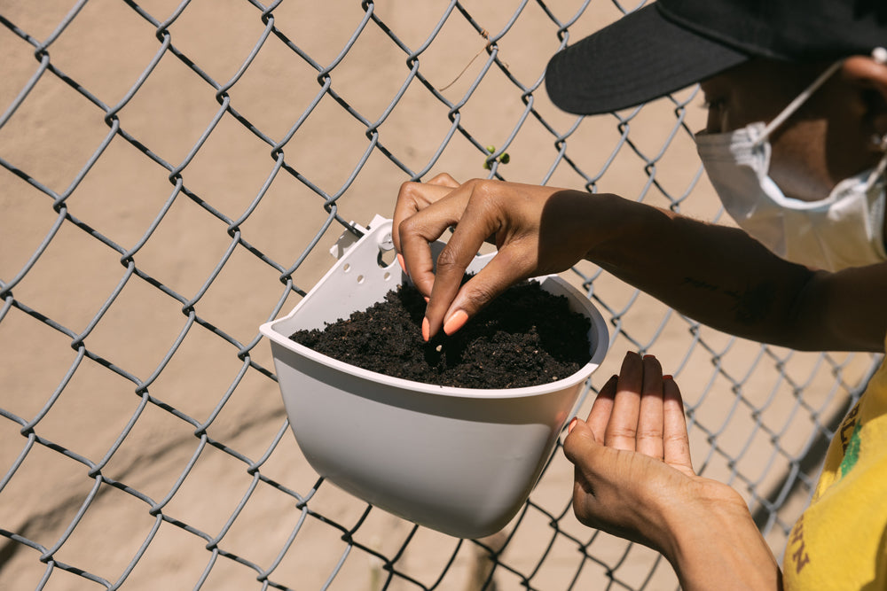 A woman planting a seed in a Sead Pod vertical garden planter hanging on a chain link fence