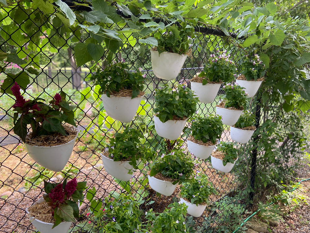 Sead Pod vertical garden planters hanging on a chain link fence at a school in Oklahoma