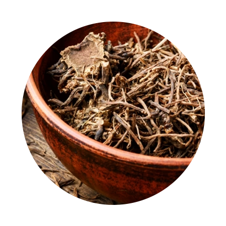 VALERIAN ROOT