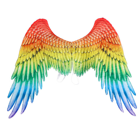 rainbow lgbt pride festival wings