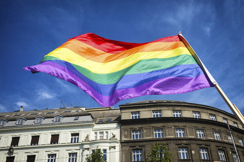 Rainbow LGBT Flag court building