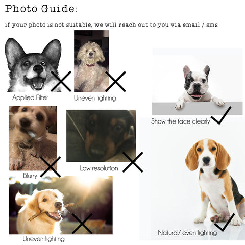 Photo Guide for custom pet cushion