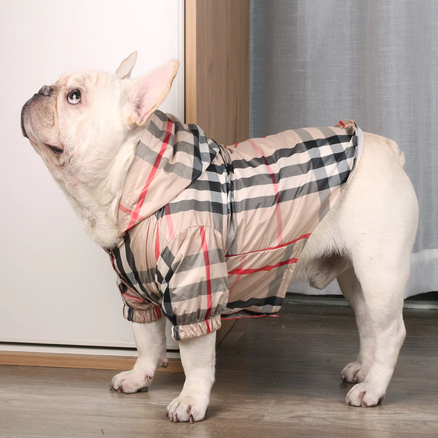 Best French Bulldog Winter Coats - Frenchie Complex