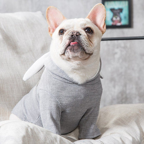 Top 10 French Bulldog Clothes in 2022 - Frenchie Complex