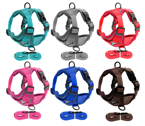 Breathable-Padded-French-Bulldog-Harness-and-Leash-frenchie-complex-shop