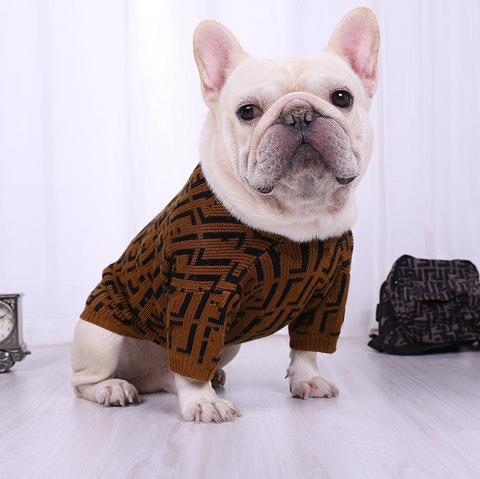 clothes for french bulldogs