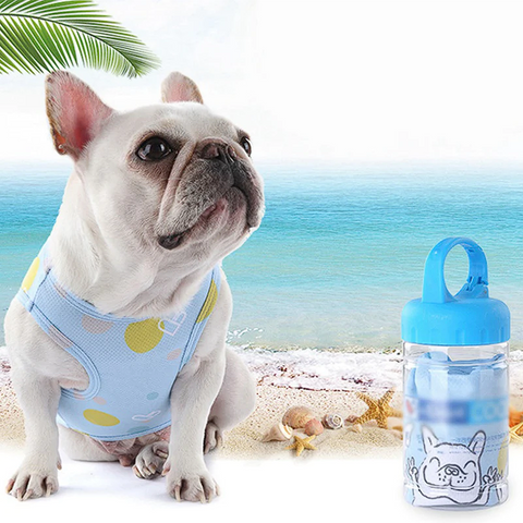 cooling vest for french bulldog