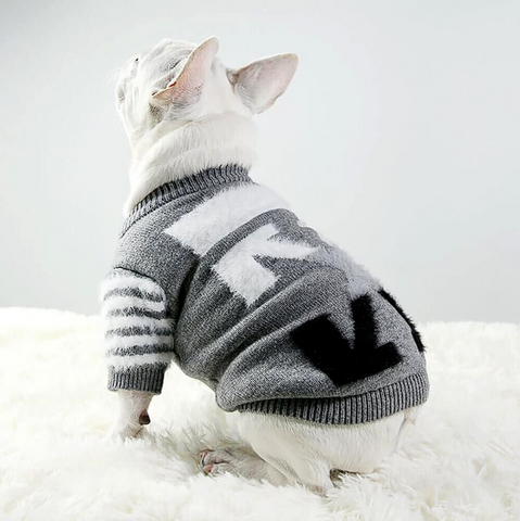 french bulldog sweater