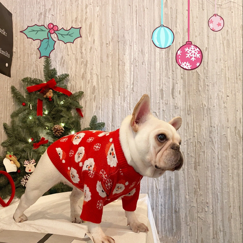 french bulldog christmas sweaters