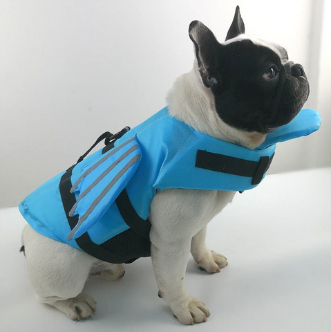 french bulldog life jackets