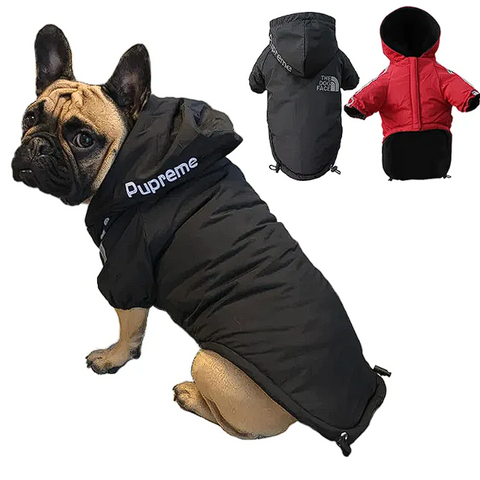 jackets for french bulldogs