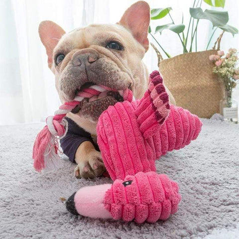 Squeakers, Plushies, Balls and Bones… OH MY! How to Choose the Right T –  Frenchie Bulldog