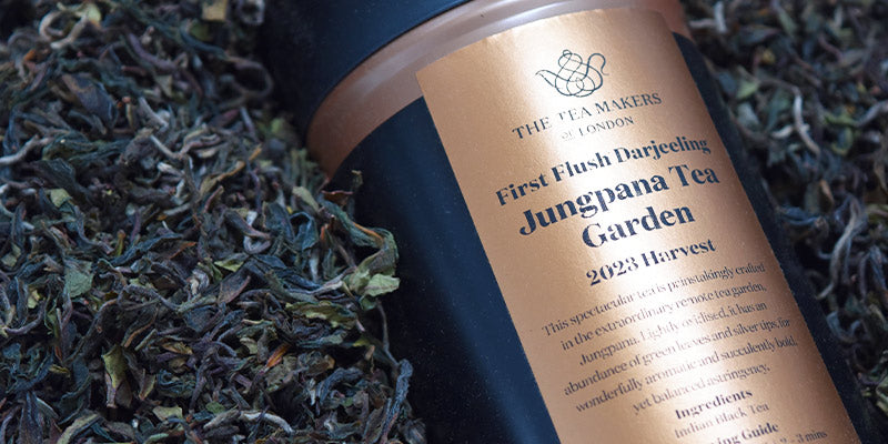 Black and Gold Jungpana Tea Garden tea caddy in loose tea leaves