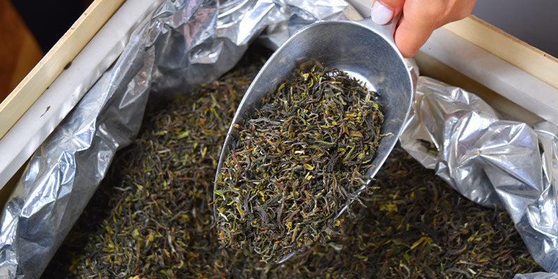 Metal tea scoop with loose 2023 Darjeeling first flush tea leaves in opened wooden crate