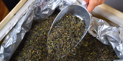 Darjeeling First Flush Loose Leaf Tea