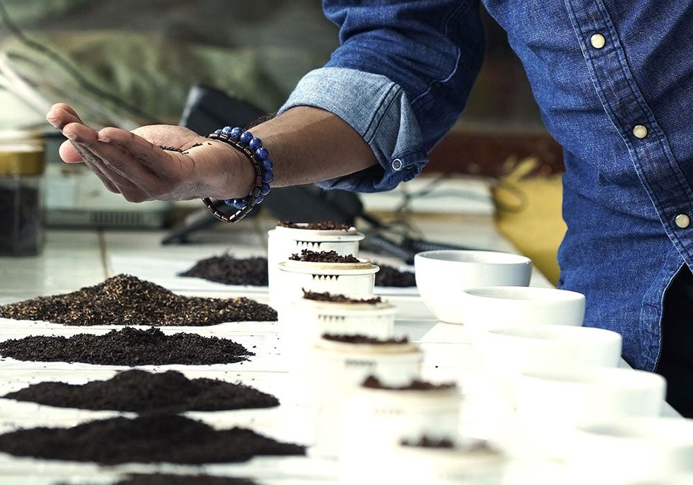 Line of piles of dried tea leaves, with cups of brewed tea, and hand holding and feeling through the dried leaves.
