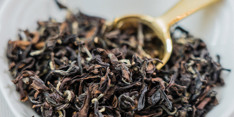 Close up of black twirling black tea leaves of Supreme Oriental Beauty tea in white bowl and small golden serving spoon