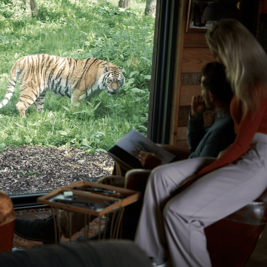 Tiger Lodge Enclosure