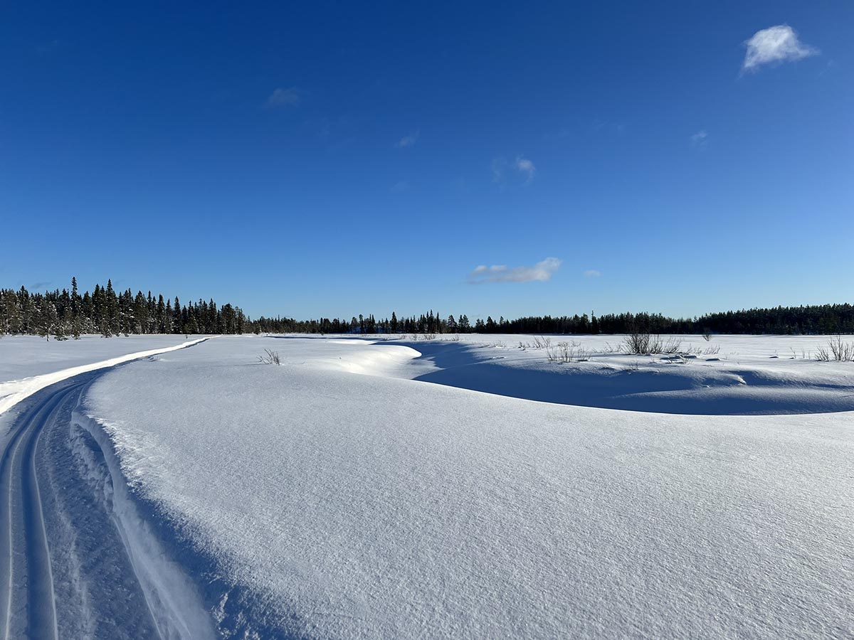 Frusna myrbäckar i Västerbotten